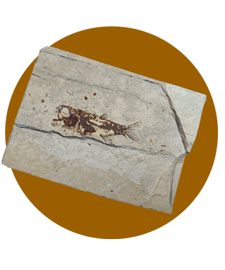 طبیعت دیاکو ایلام